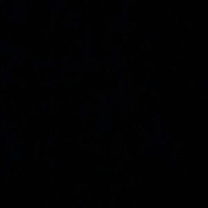 Meet your Posher, Jesse